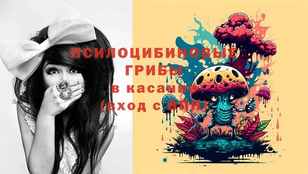a pvp Надым